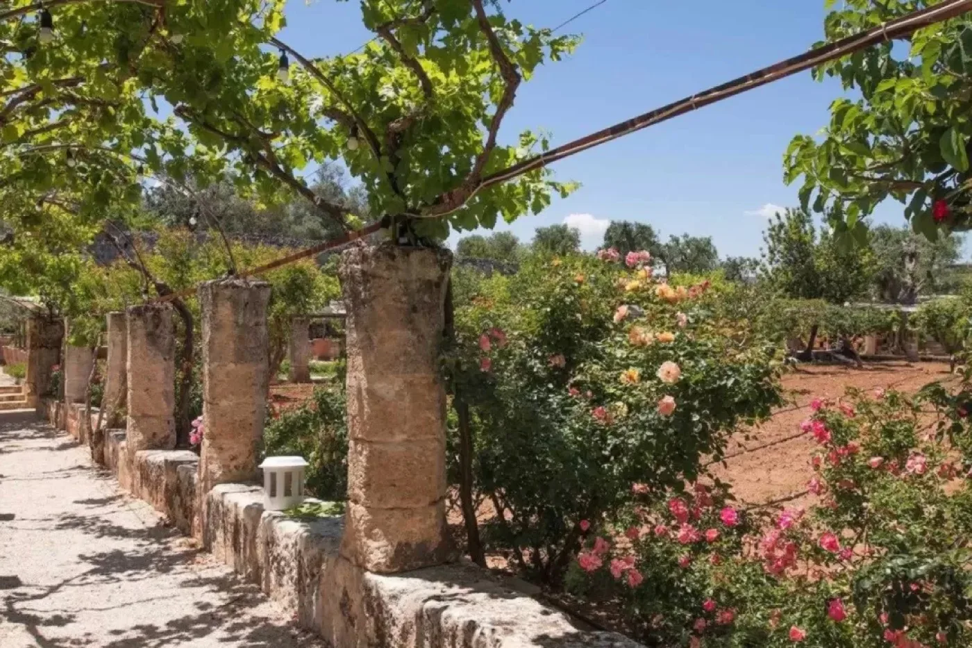 Masseria Torre Coccaro — Brindisi 4
