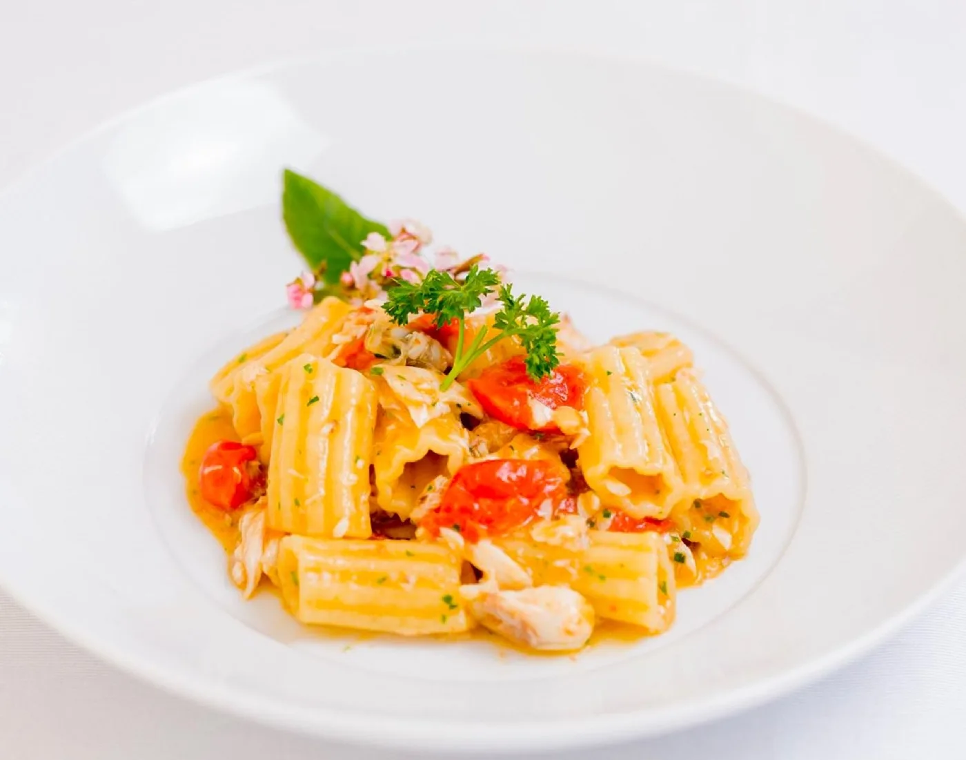 Tenuta D'Ausilio — Caserta 8