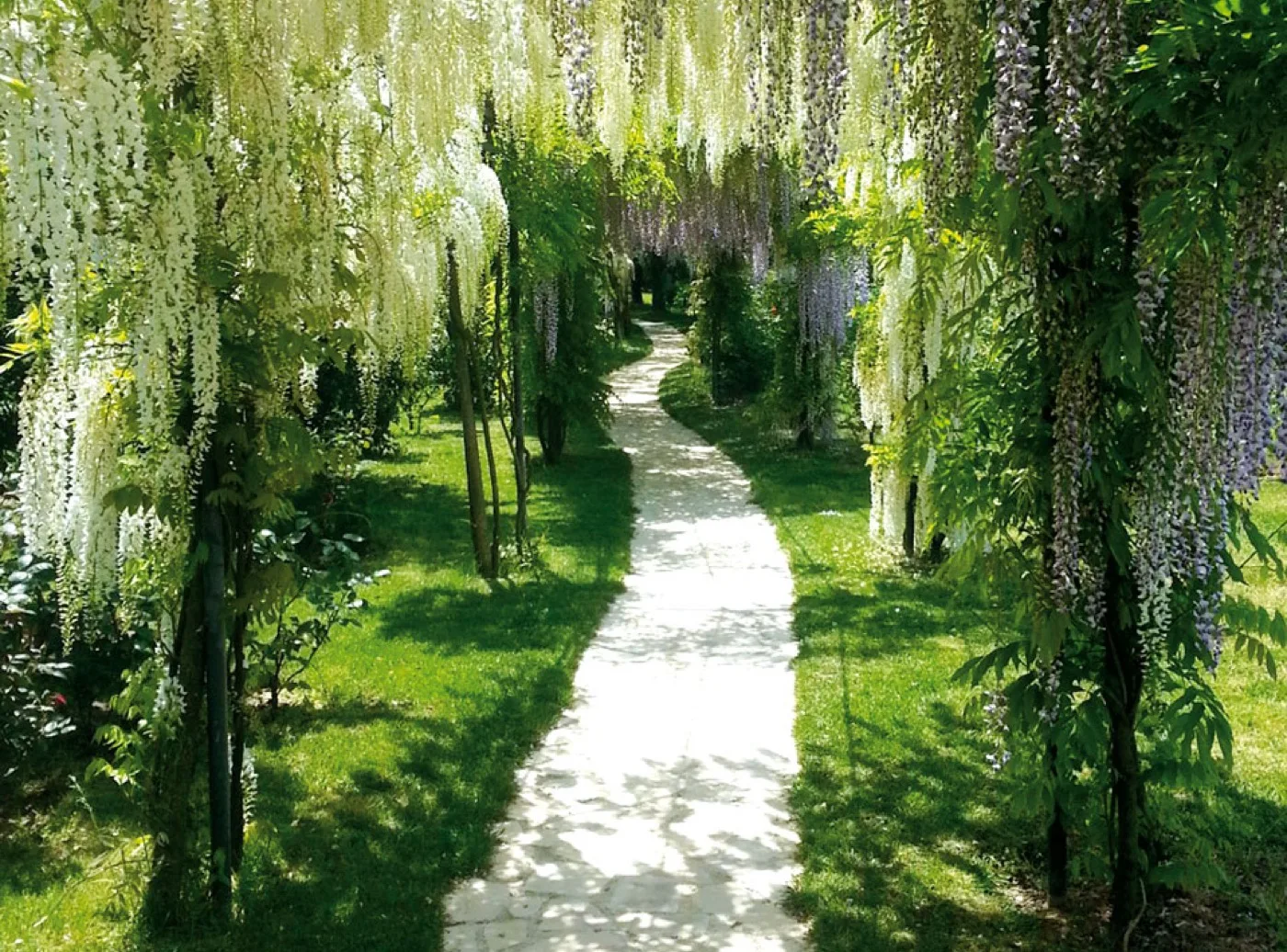 Tenuta San Domenico — Caserta 8