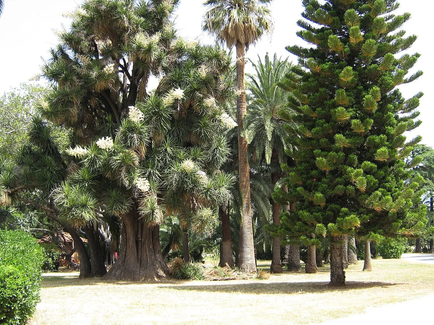 Villa Malfitano Whitaker — Palermo 2