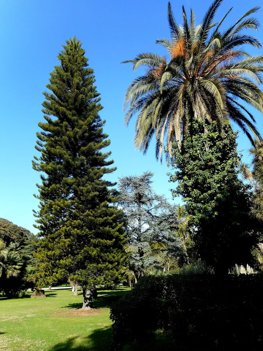 Villa Malfitano Whitaker — Palermo 3