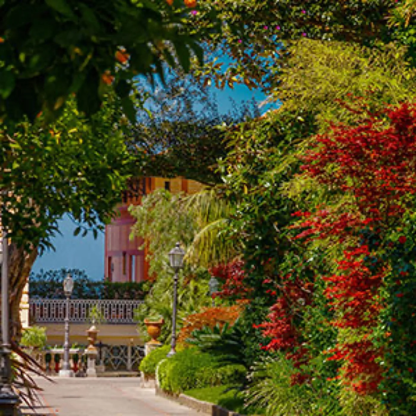 Grand Hotel Excelsior Vittoria — Costiera & Sorrento 7