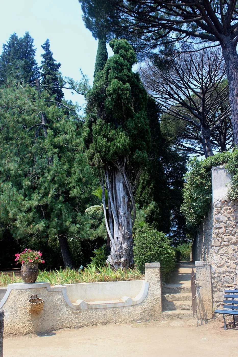 Villa Cimbrone — Costiera & Sorrento 3
