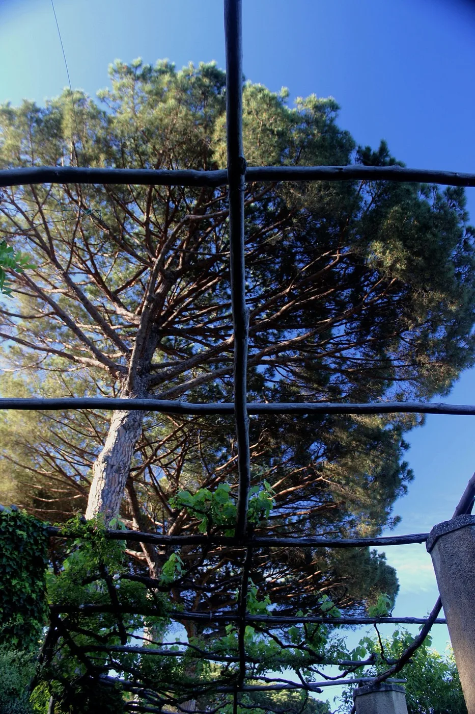 Villa Cimbrone — Costiera & Sorrento 7
